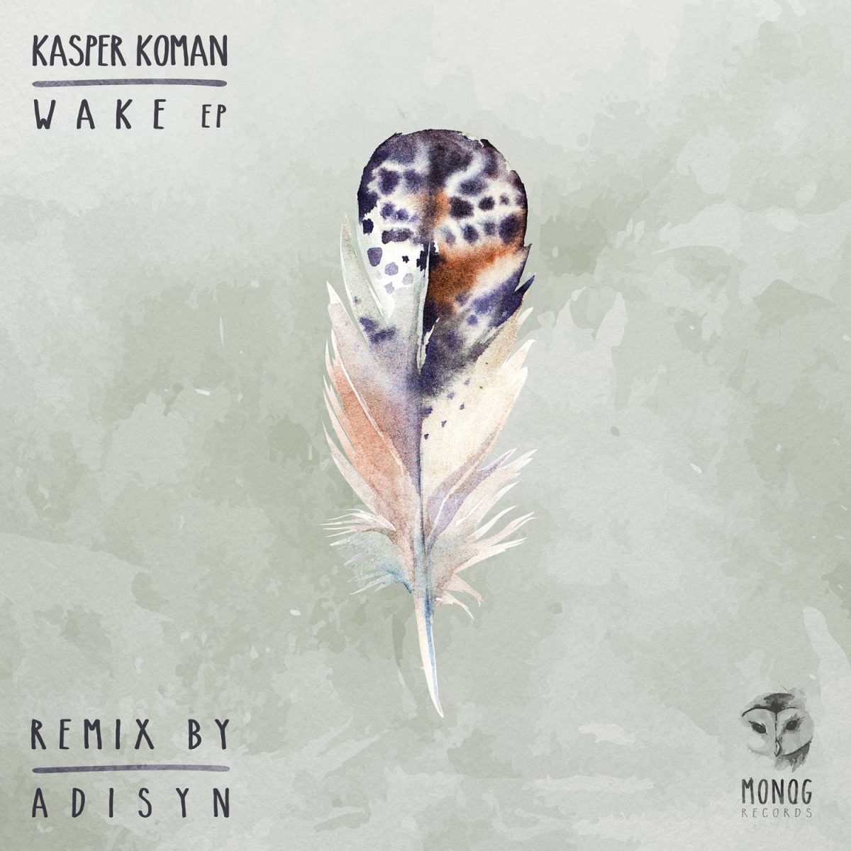 Cover art for Wake