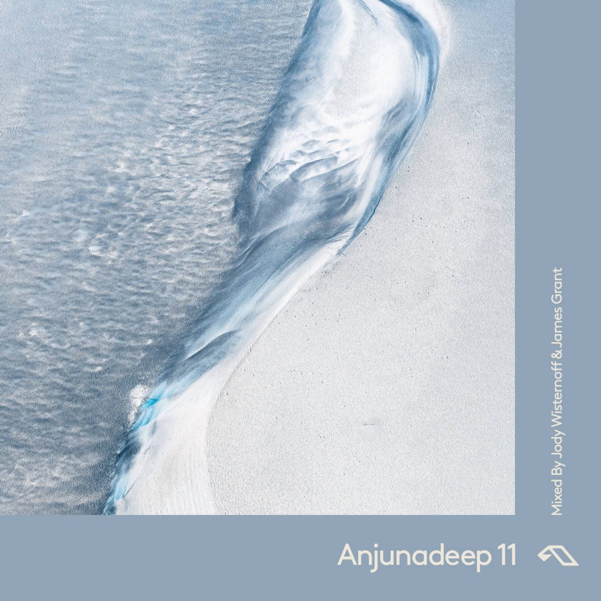 Cover art for The Blind Navigator